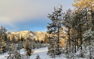 Forestview Escape Near Lake Cascade - Donnelly, Idaho