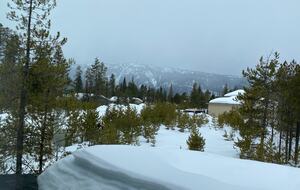 Forestview Escape Near Lake Cascade - Donnelly, Idaho