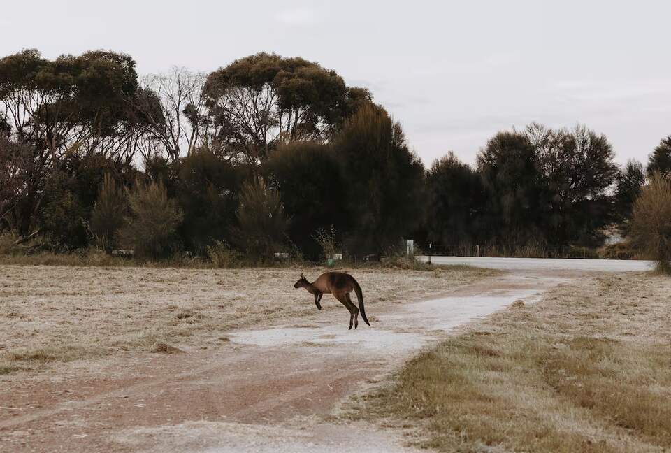 Middle River Vista on Kangaroo Island’s North Coast - Kangaroo Island, Australia