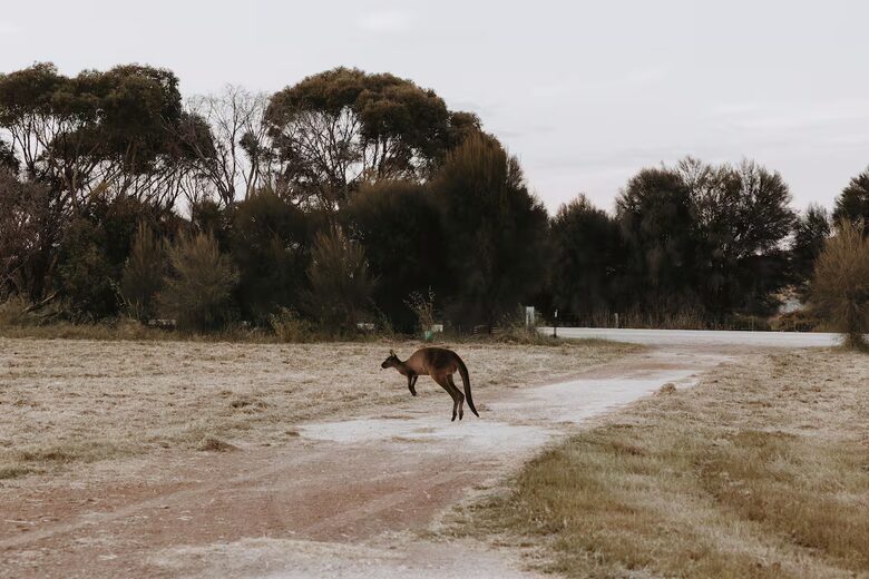 Middle River Vista on Kangaroo Island’s North Coast - Kangaroo Island, Australia