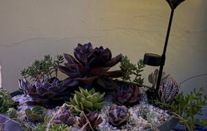 Tranquil West Ibiza Retreat with Private Terrace & Pool Access - Port des Torrent -San José, Spain