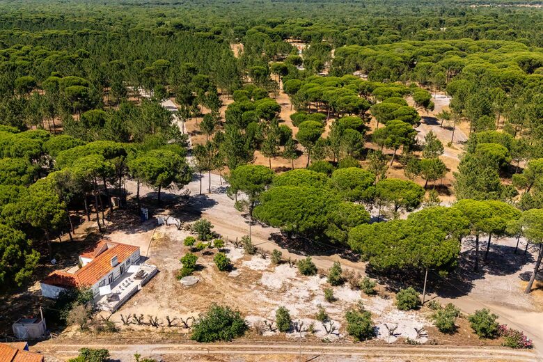 Comporta Serenity Villa ¦ Elegant 5-Bedroom in Tranquil Countryside - Comporta, Grandola, Portugal