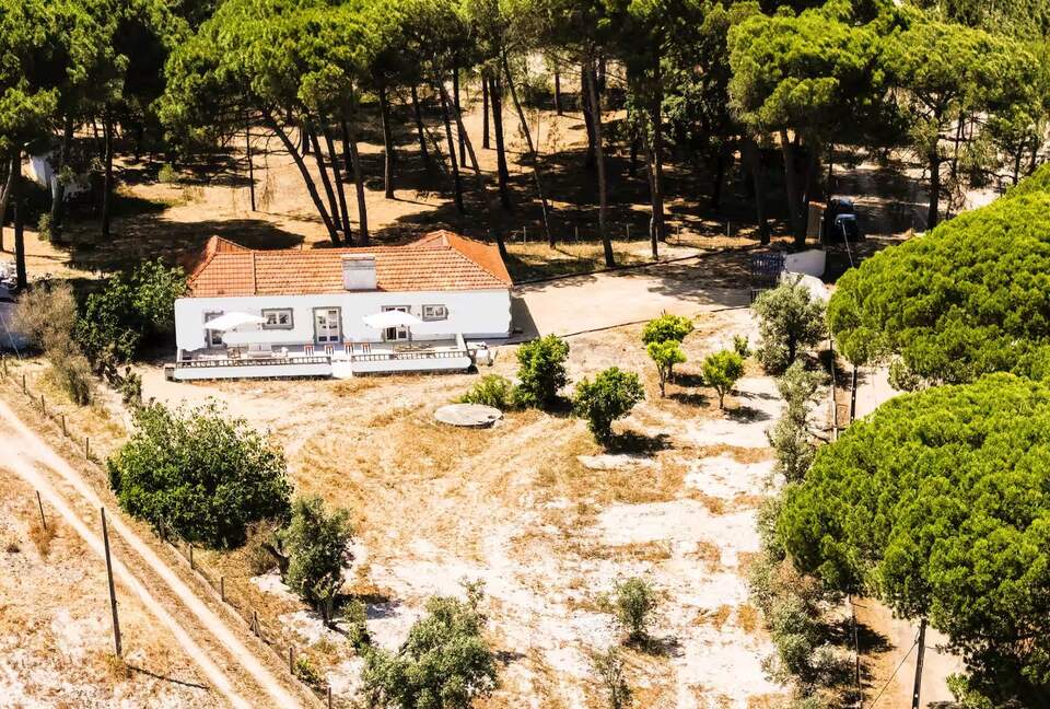 Comporta Serenity Villa ¦ Elegant 5-Bedroom in Tranquil Countryside - Comporta, Grandola, Portugal