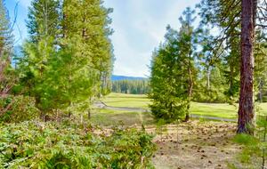 Forest Haven in Cle Elum - Cle Elum, Washington