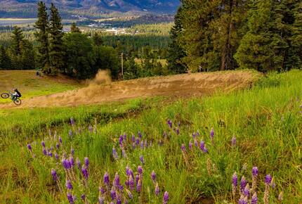 Nature & Nostalgia in Big Bear’s Foothills - Big Bear Lake, California