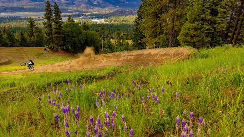 Nature & Nostalgia in Big Bear’s Foothills - Big Bear Lake, California