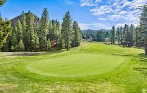 Forest Haven in Cle Elum - Cle Elum, Washington