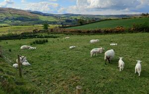 Charming Eco Retreat with Panoramic Valley Views - Bantry, Ireland