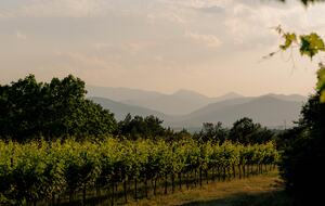 A Premier Pyrenean Retreat – Luxury Lodge & Wellness Sanctuary - Girona, Spain