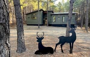 A Pine-Lined Haven Near Broken Bow Lake - Broken Bow, Oklahoma