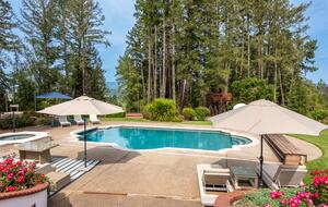 Private Wine Country Estate with Spa & Treehouse - Healdsburg, California