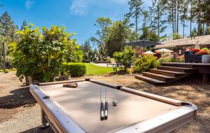 Private Wine Country Estate with Spa & Treehouse - Healdsburg, California