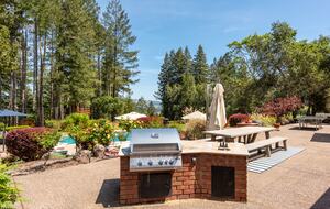 Private Wine Country Estate with Spa & Treehouse - Healdsburg, California