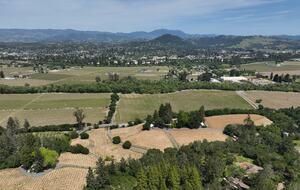 Private Wine Country Estate with Spa & Treehouse - Healdsburg, California