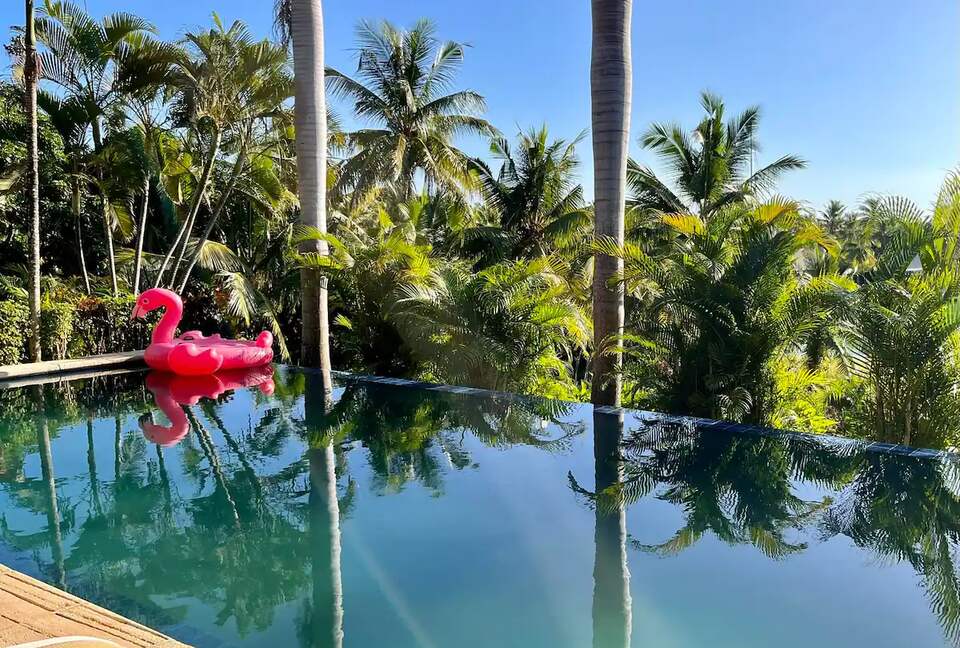 Sophisticated Escape in Musket Cove - Musket Cove, Fiji