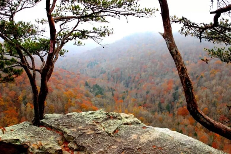 Tracy City Tiny Home Haven with Creek Views and Modern Comfort - Tracy City, Tennessee