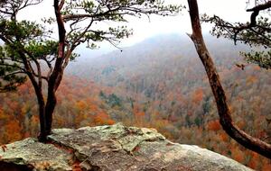Tracy City Tiny Home Haven with Creek Views and Modern Comfort - Tracy City, Tennessee