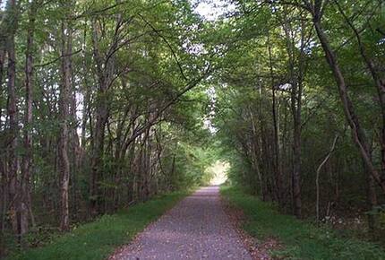 Tracy City Tiny Home Haven with Creek Views and Modern Comfort - Tracy City, Tennessee