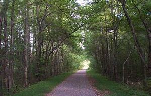 Tracy City Tiny Home Haven with Creek Views and Modern Comfort - Tracy City, Tennessee