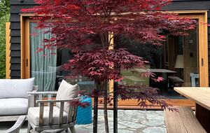 Modern Alpine Retreat with Stunning Mountain Views - Wānaka, New Zealand