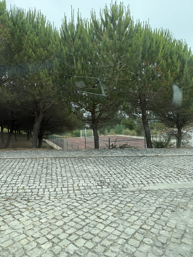 Breathtaking Award Winning Villa on Portugal’s Silver Coast - Vau, Portugal