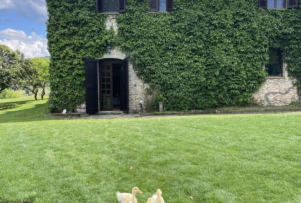 A Refined Umbrian Estate with Vineyards and Olive Groves - Gualdo Cattaneo, Perugia, Italy