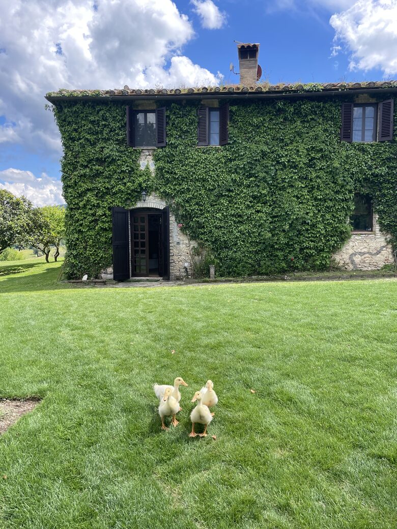 A Refined Umbrian Estate with Vineyards and Olive Groves - Gualdo Cattaneo, Perugia, Italy