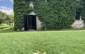 A Refined Umbrian Estate with Vineyards and Olive Groves - Gualdo Cattaneo, Perugia, Italy