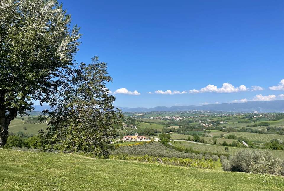 A Refined Umbrian Estate with Vineyards and Olive Groves - Gualdo Cattaneo, Perugia, Italy