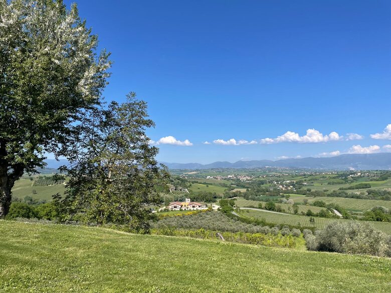 A Refined Umbrian Estate with Vineyards and Olive Groves - Gualdo Cattaneo, Perugia, Italy