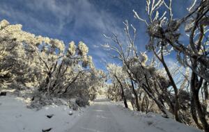European-Style Chalet in Mount Buller Steps from Main Lift - Mount Buller, Australia