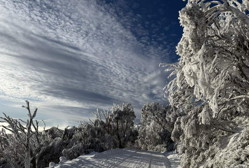 European-Style Chalet in Mount Buller Steps from Main Lift - Mount Buller, Australia