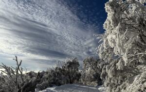 European-Style Chalet in Mount Buller Steps from Main Lift - Mount Buller, Australia
