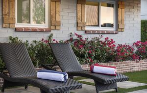 Stylish Scottsdale Retreat with Vibrant Outdoor Oasis - Scottsdale, Arizona