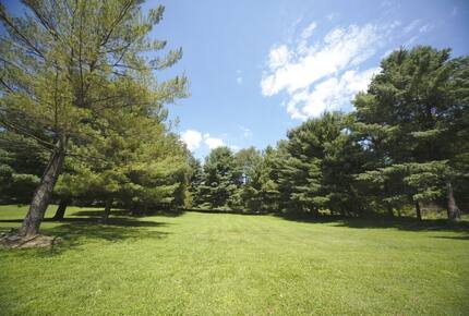 Sophisticated Estate Retreat near Washington, D.C. - Potomac, Maryland