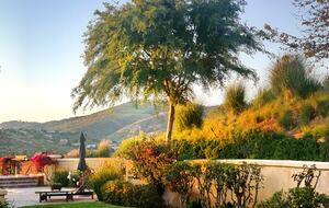 Refined Rancho Santa Fe Relaxation | Close to San Diego - San Diego, California