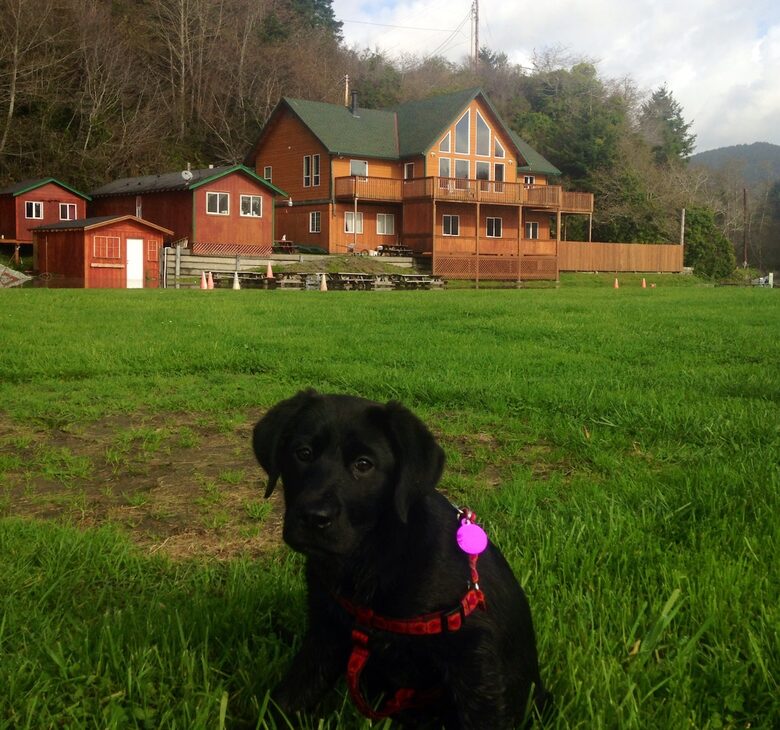 Riverfront Elegance at the Edge of the Wild - Klamath, California