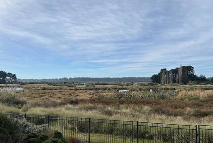Wetland Haven at Pegasus Beach - Pegasus, New Zealand