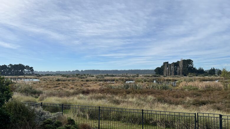 Wetland Haven at Pegasus Beach - Pegasus, New Zealand