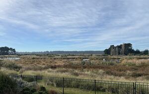 Wetland Haven at Pegasus Beach - Pegasus, New Zealand