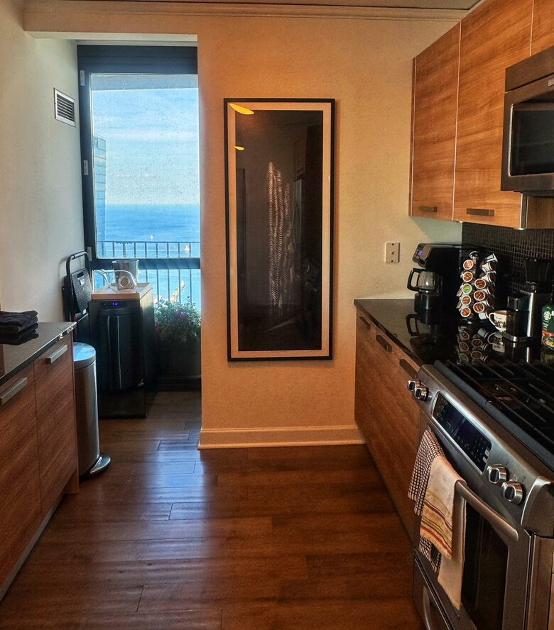 Panoramic Living in the Heart of Chicago - Chicago, Illinois