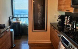 Panoramic Living in the Heart of Chicago - Chicago, Illinois