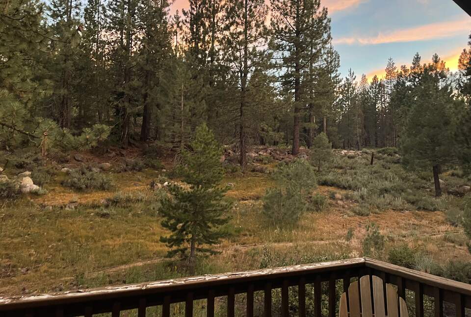 View from Balcony