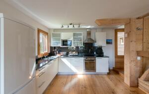 A Sophisticated Mountain Retreat in Wengen - Wengen, Switzerland