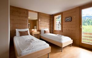A Sophisticated Mountain Retreat in Wengen - Wengen, Switzerland