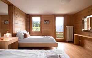 A Sophisticated Mountain Retreat in Wengen - Wengen, Switzerland