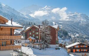 A Sophisticated Mountain Retreat in Wengen - Wengen, Switzerland