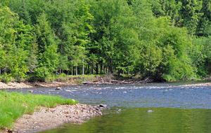 Huge forested riverfront property. 3 minutes to skiing. - Mont Tremblant, Canada