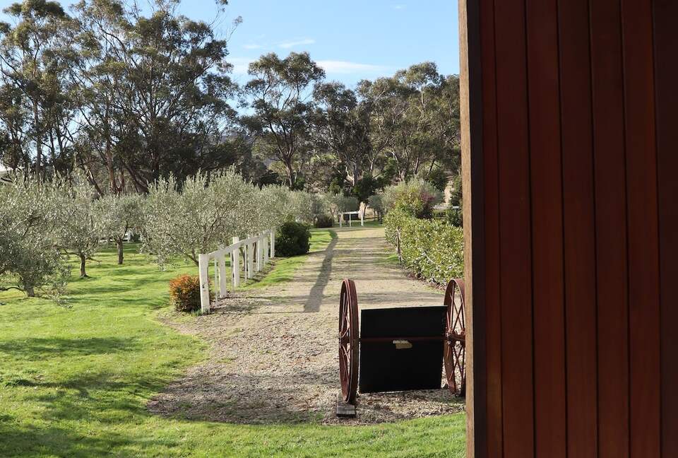 Hillside Retreat Among a Premier Tasmanian Olive Grove - Kellevie, Australia
