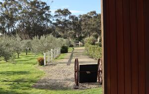 Hillside Retreat Among a Premier Tasmanian Olive Grove - Kellevie, Australia